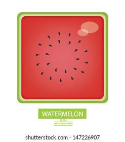watermelon fruits vector illustration