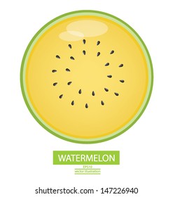 watermelon fruits vector illustration