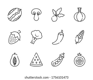 watermelon, fruits and vegetables icon set over white background, line style, vector illustration