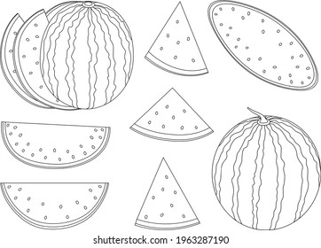 Watermelon graphics black and white coloring vector illustration