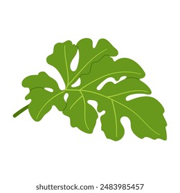 Hoja verde de sandía. Dibujado a mano Clipart de ilustración botánica aislada de estilo plano de moda. Ilustración vectorial