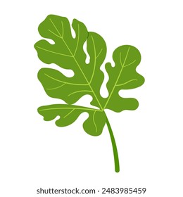 Hoja verde de sandía. Dibujado a mano Clipart de ilustración botánica aislada de estilo plano de moda. Ilustración vectorial