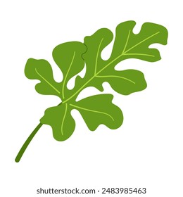 Hoja verde de sandía. Dibujado a mano Clipart de ilustración botánica aislada de estilo plano de moda. Ilustración vectorial