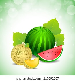 watermelon green on a white background and a piece cut