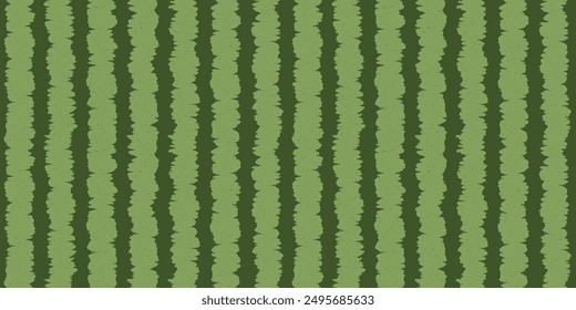 Watermelon green peel horizontal seamless pattern. Watermelon pattern