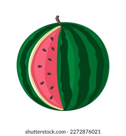 Watermelon. Green striped berry with red pulp and brown seeds. Summer fruit and berries.Vector illustration