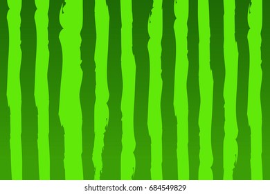 watermelon green texture background  vector illustration