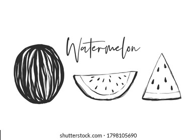 Watermelon half, slice, stripes. Black line fruits illustration set. Graphic vector sketch in hand drawn style. Fresh tropical elements on white background.