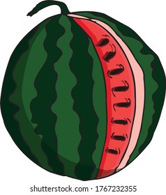 Watermelon hand draw vector drawing. Isolated hand drawn berry on white background. Summer fruit engraved style illustration. Detailed vegetarian food. Great for label, poster, print