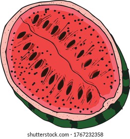 Watermelon hand draw vector drawing. Isolated hand drawn berry on white background. Summer fruit engraved style illustration. Detailed vegetarian food. Great for label, poster, print