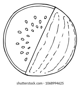 Watermelon.  Hand drawn watermelon.