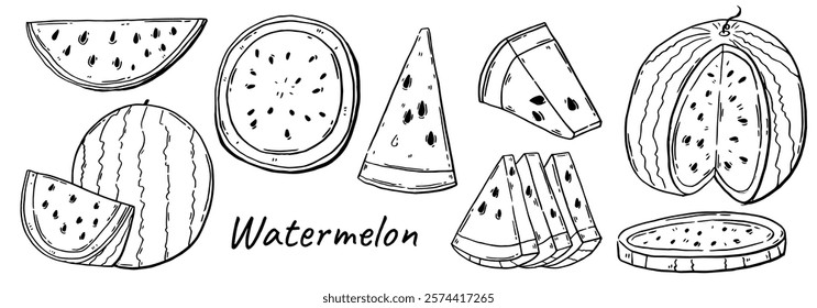 Watermelon hand drawn set. Summer fruit from tropics in sketch style. Vector engraved illustration.