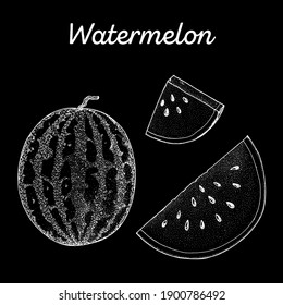 Watermelon hand drawn vector illustration. Watermelon slice sketch. Vector illustration. Black and white.