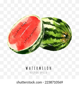 watermelon hand drawn watercolor painting isolated on white background,  Vector illustration