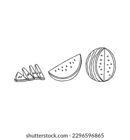 watermelon handrawn doodle illustrations vector set