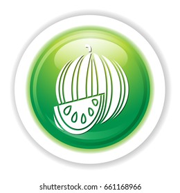 watermelon icon