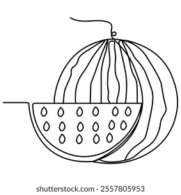 Watermelon icon  continuous one line drawing  outline vector illustration