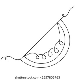 Watermelon icon  continuous one line drawing  outline vector illustration