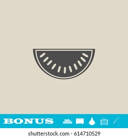 Watermelon icon flat. Grey pictogram on light background. Vector illustration symbol and bonus button real estate, ottoman, vase, tv, fishing rod