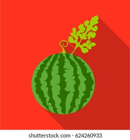 Watermelon icon flat. Single plant icon from the big farm, garden, agriculture flat.