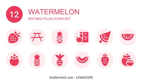 watermelon icon set. Collection of 12 filled watermelon icons included Strawberry, Picnic, Pineapple, Breakfast, Watermelon, Mangosteen, Melon