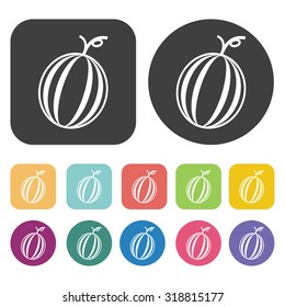 watermelon icon set. Vector Illustration eps10