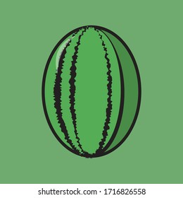 Watermelon icon simple and professional design
