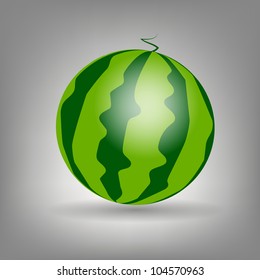  watermelon icon vecotr illustration