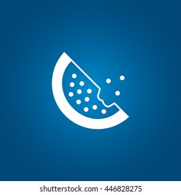 Watermelon icon vector illustration
