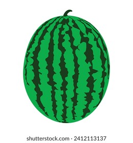watermelon icon vector illustration design