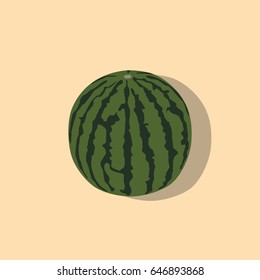Watermelon icon, vector illustration design. Fruits collection.
