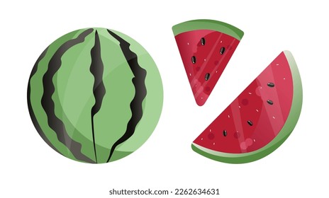 Watermelon icons set. Cartoon set of watermelon vector icons for web design.