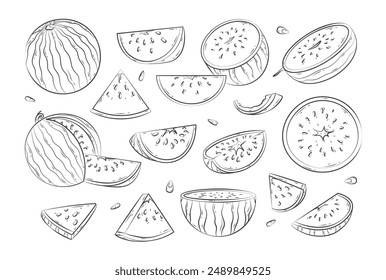 Watermelon icons set. Vector cartoon collection of hand drawn ripe fruit pieces, halved and triangular slices, whole watermelons, rind, seed. Fresh organic fruit. Sweet desserts. Healthy vegan food