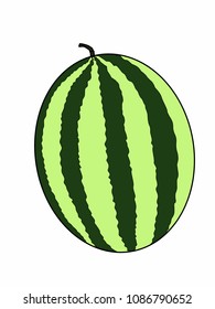  watermelon illustration cartoon	