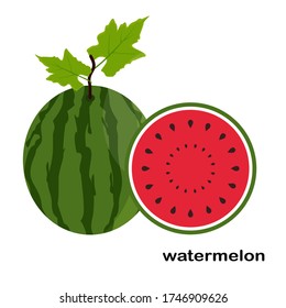 
watermelon illustration, with cartoon style. fruit theme. summer theme.