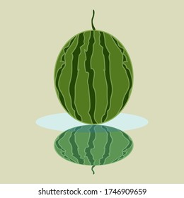 
watermelon illustration, with cartoon style. fruit theme. summer theme.