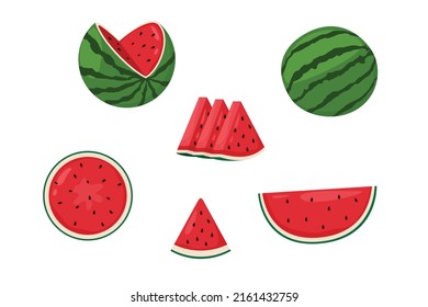 Watermelon illustration isolated on a white background. Whole and sliced fresh watermelon.