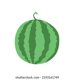 Watermelon illustration ripe summer watermelon with pits and cut slice. Vector drawing of fruit for design