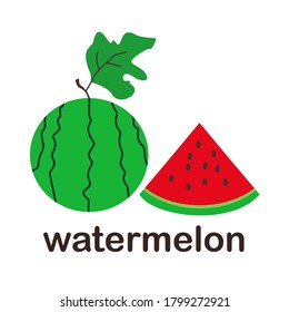 Wassermelone, weißer Hintergrund. Vektorgrafik von Obst.