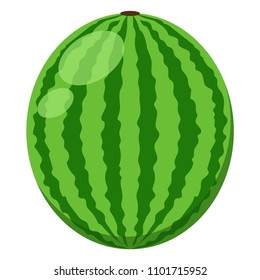 Watermelon Illustration - Whole watermelon isolated on white background