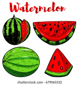 Watermelon illustrations isolated on white background. Vector illustration