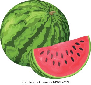 Watermelon. Image of a ripe watermelon. Cut pieces of ripe red watermelon. Vector illustration isolated on a white background