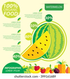 watermelon. Infographic template. vector illustration.