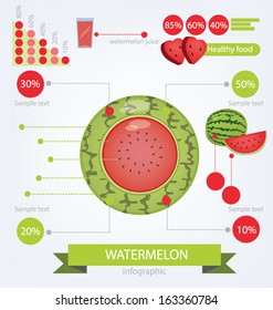 Watermelon. infographics. fruits vector illustration.