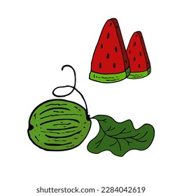 Watermelon Isolated doodle vector illustration. Concept of summer, fruits, berries and healthy food. Object for icon, menu, cover, print, poster, card, web element, social media, card for children.
