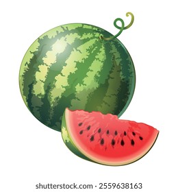 Watermelon isolated fresh fruit vector