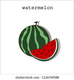 Watermelon isolated hand draw illustration.Flat design. Organic food. Watermelon vector