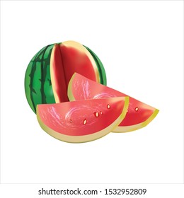 Watermelon isolated on white background. Vector illustration