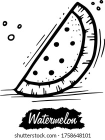 Watermelon isolated on white background. Vintage black vector engraving illustration. Hand drawn in a graphic style.