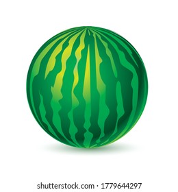 sandía aislada de fondo blanco. Ilustración del vector
